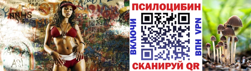 гидра как зайти  Дубовка  Псилоцибиновые грибы MAGIC MUSHROOMS 